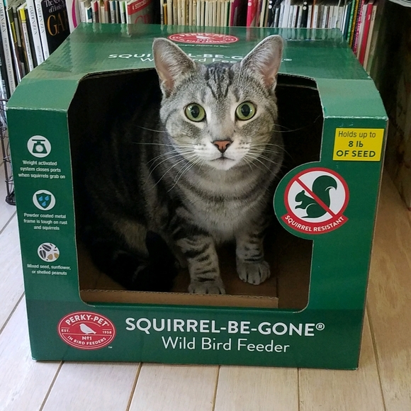 Meet your Posher, David - Picture 5 of 7